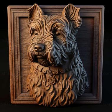 3D model Pumi dog breed dog (STL)